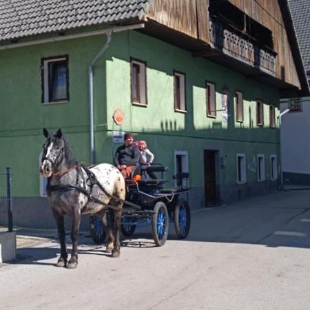Hostel Sigma House Mojstrana Exteriér fotografie