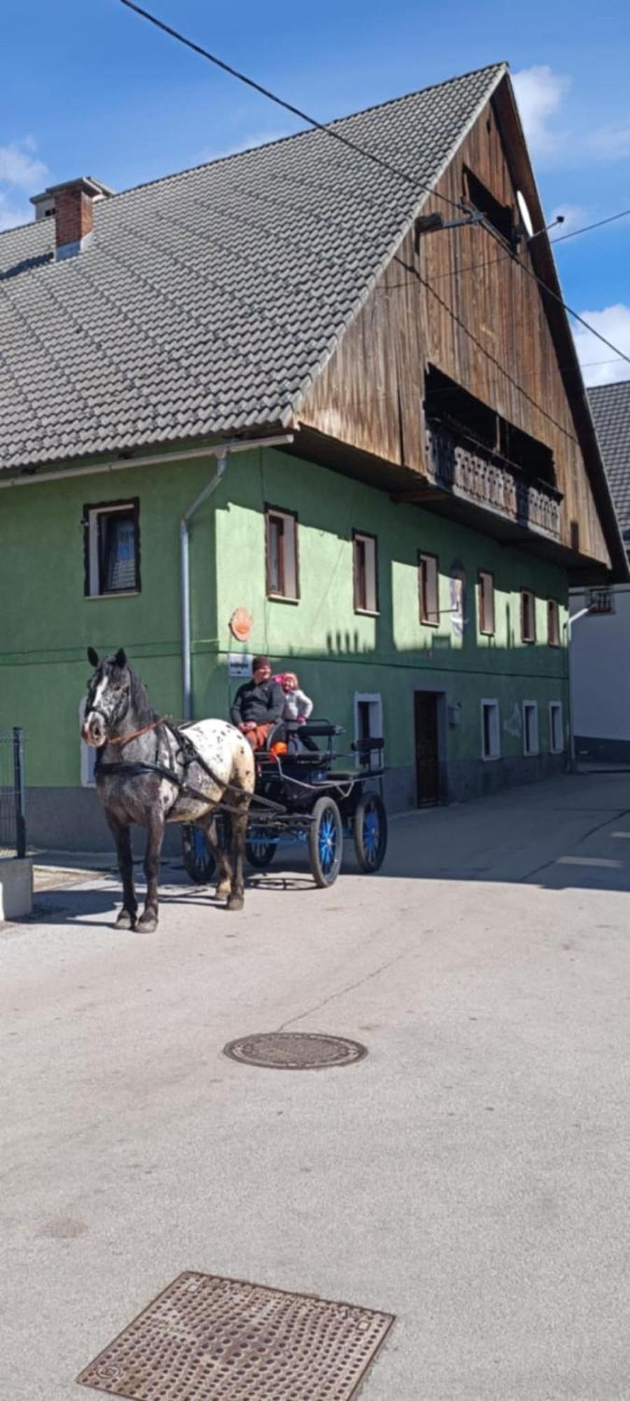 Hostel Sigma House Mojstrana Exteriér fotografie