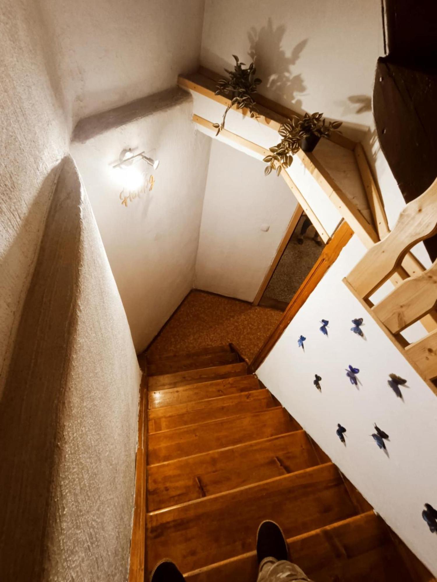 Hostel Sigma House Mojstrana Exteriér fotografie